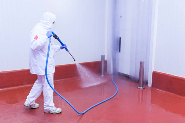 Best Parking Lot and Garage Cleaning  in Rushford, MN